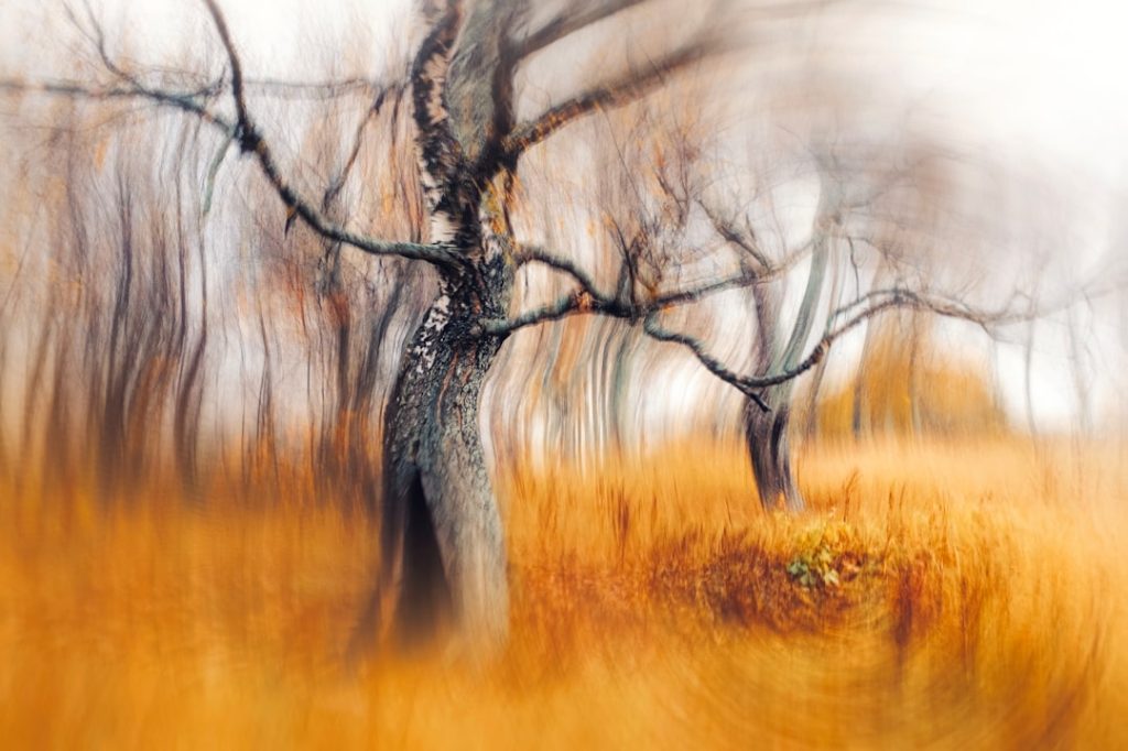 Alles wat je moet weten over telefoonnummer +31 527 75 50 17